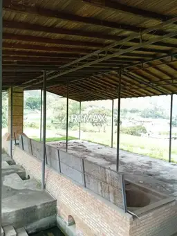 Vista 4