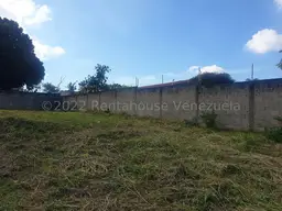 Vista 5