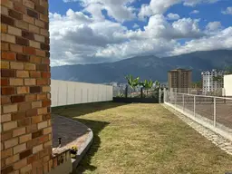 Vista 17