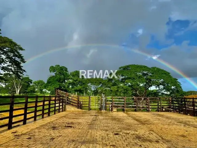VENDE, Extraordinaria Finca Ganadera de 70 Hectáreas a solo 35 minutos de Yaracal