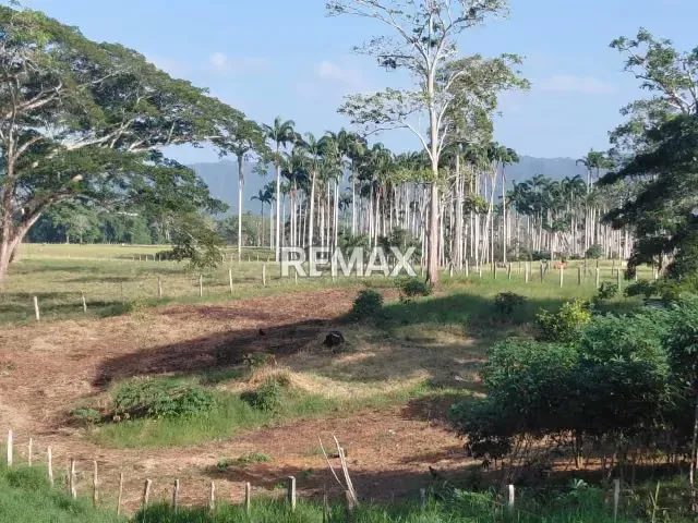 VENDE, Extraordinaria Finca Ganadera de 70 Hectáreas a solo 35 minutos de Yaracal - 15