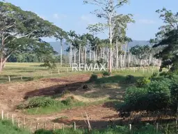 View 15