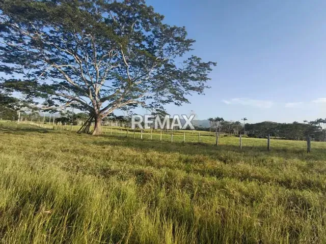VENDE, Extraordinaria Finca Ganadera de 70 Hectáreas a solo 35 minutos de Yaracal - 16