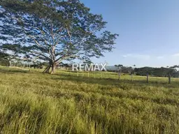 View 16
