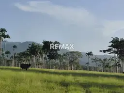 View 17