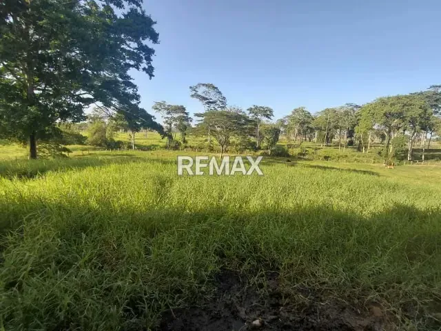VENDE, Extraordinaria Finca Ganadera de 70 Hectáreas a solo 35 minutos de Yaracal - 18