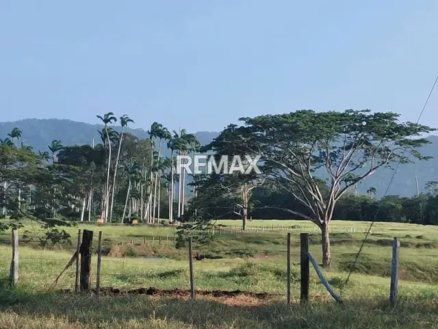 VENDE, Extraordinaria Finca Ganadera de 70 Hectáreas a solo 35 minutos de Yaracal - 19