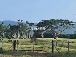 View 19