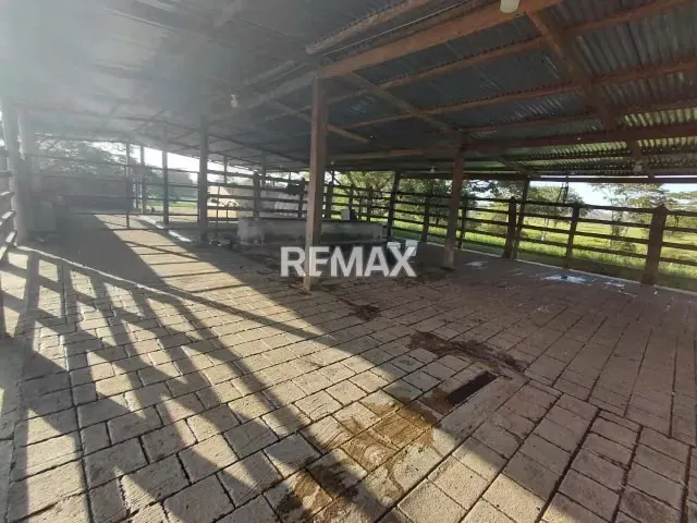 VENDE, Extraordinaria Finca Ganadera de 70 Hectáreas a solo 35 minutos de Yaracal - 3