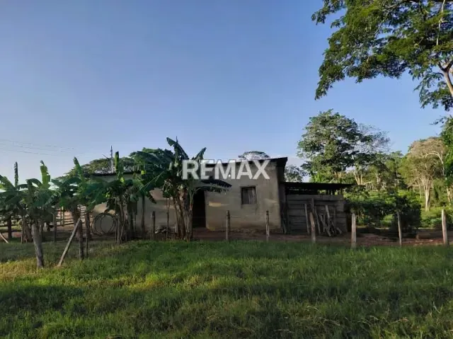 VENDE, Extraordinaria Finca Ganadera de 70 Hectáreas a solo 35 minutos de Yaracal - 8
