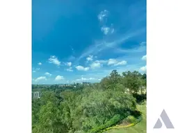 Vista 15