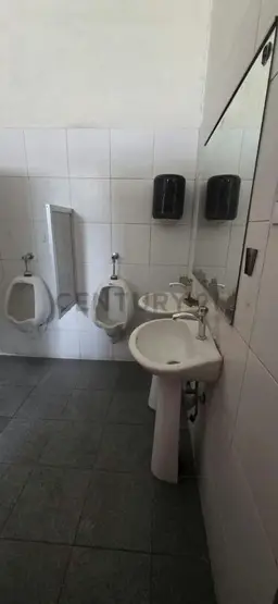 Vista 9