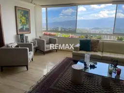 Vista 6