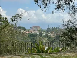 View 19