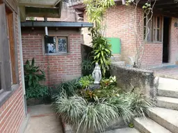 View 50