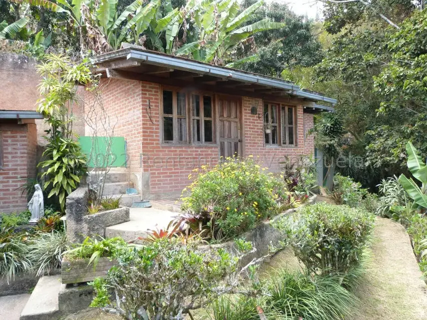 Casa (1 Nivel) en Venta en La Peña, Miranda - 51