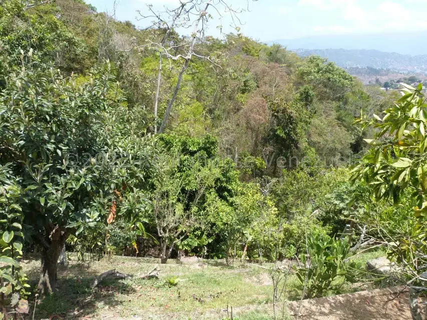 Casa (1 Nivel) en Venta en La Peña, Miranda - 74