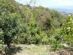 View 74