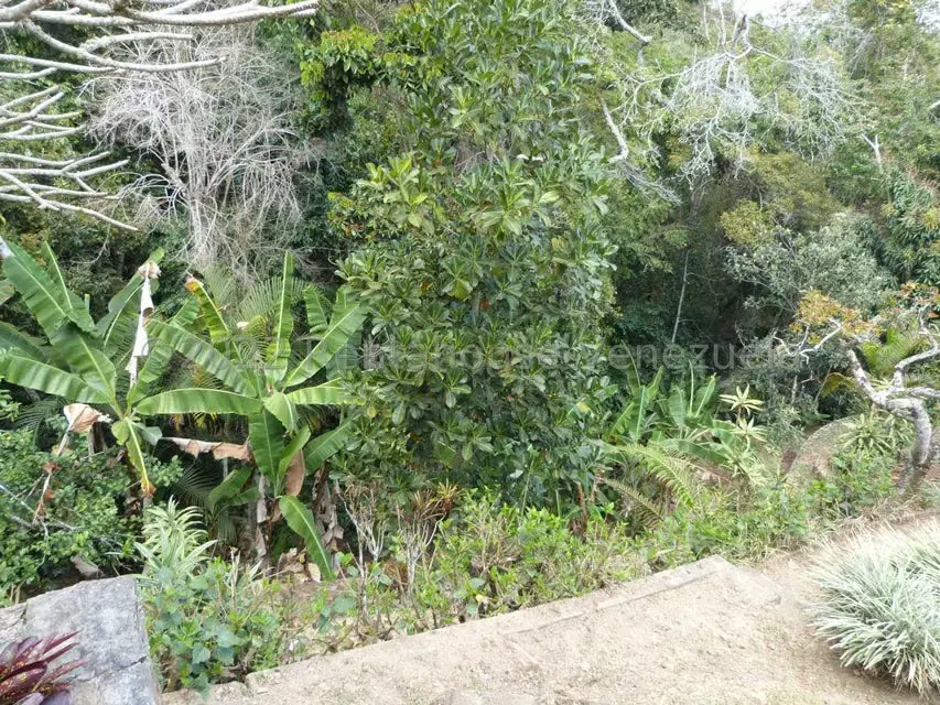 Casa (1 Nivel) en Venta en La Peña, Miranda - 75