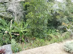 View 75