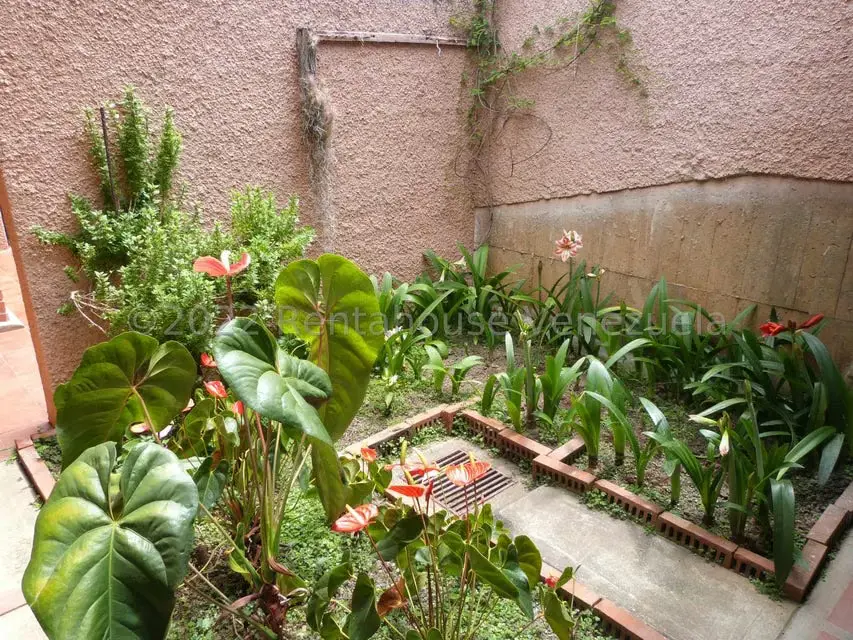 Casa (1 Nivel) en Venta en La Peña, Miranda - 76