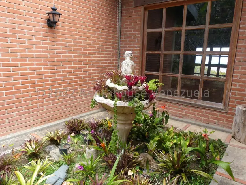 Casa (1 Nivel) en Venta en La Peña, Miranda - 81