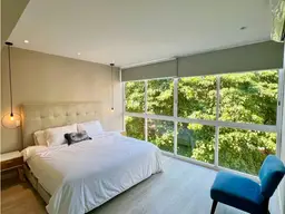 Vista 19
