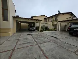 Vista 40