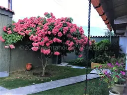 Vista 14