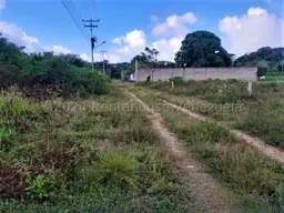 Vista 18