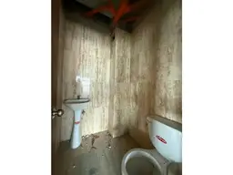 Vista 10