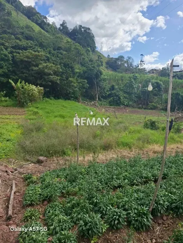 Se vende terreno ubicado en el fical aldea salomon municipio andres bello - 4
