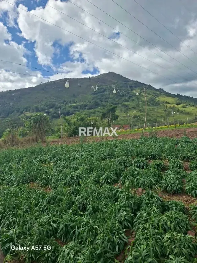 Se vende terreno ubicado en el fical aldea salomon municipio andres bello - 5