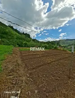 View 6