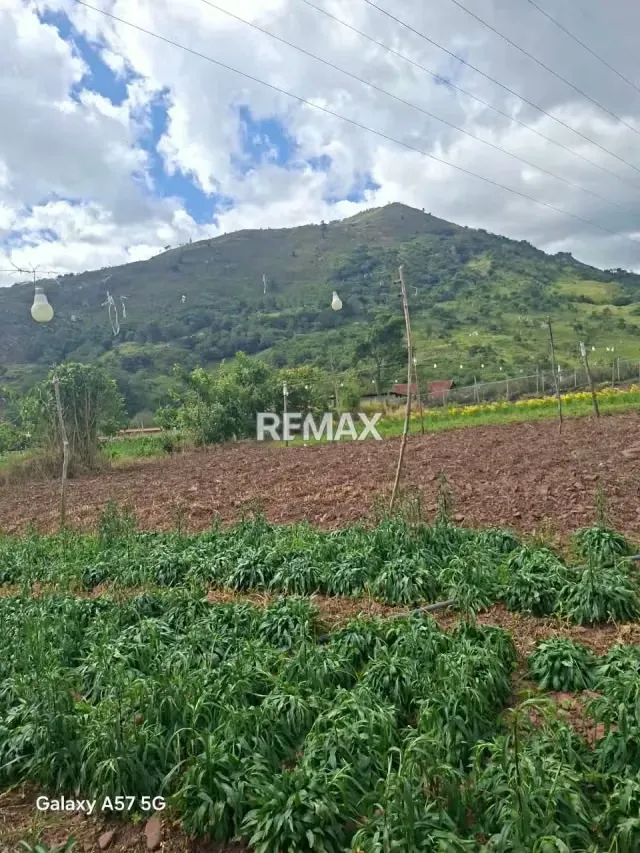 Se vende terreno ubicado en el fical aldea salomon municipio andres bello - 7