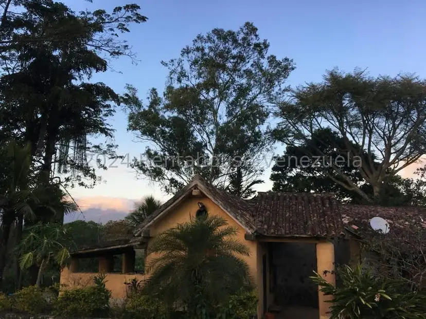 Casa (Casas de Campo) en Venta en Bejuma, Carabobo