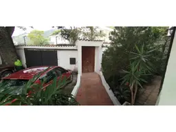 Vista 19