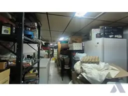 Vista 16