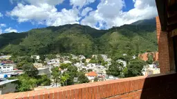 Vista 26