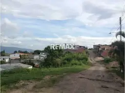 Vista 1
