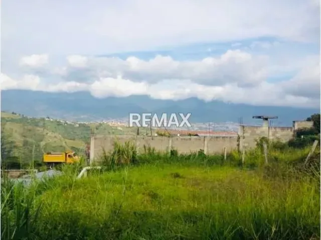 Terreno. Venta. Capacho - 2