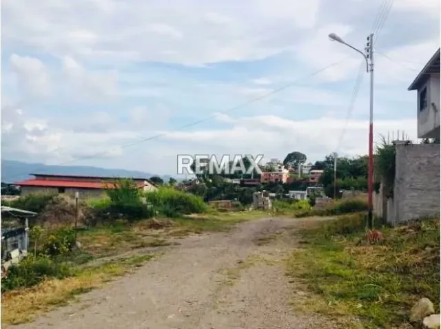 Terreno. Venta. Capacho - 6