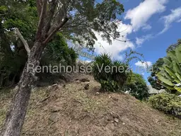 Vista 16