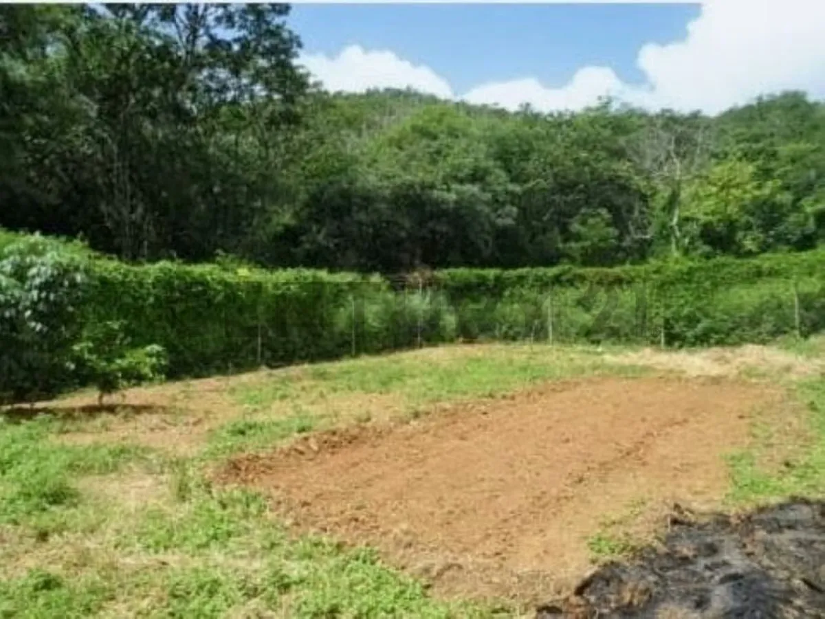 Terreno con bienhechuria en salamanca, la asunción