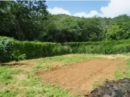 View 1