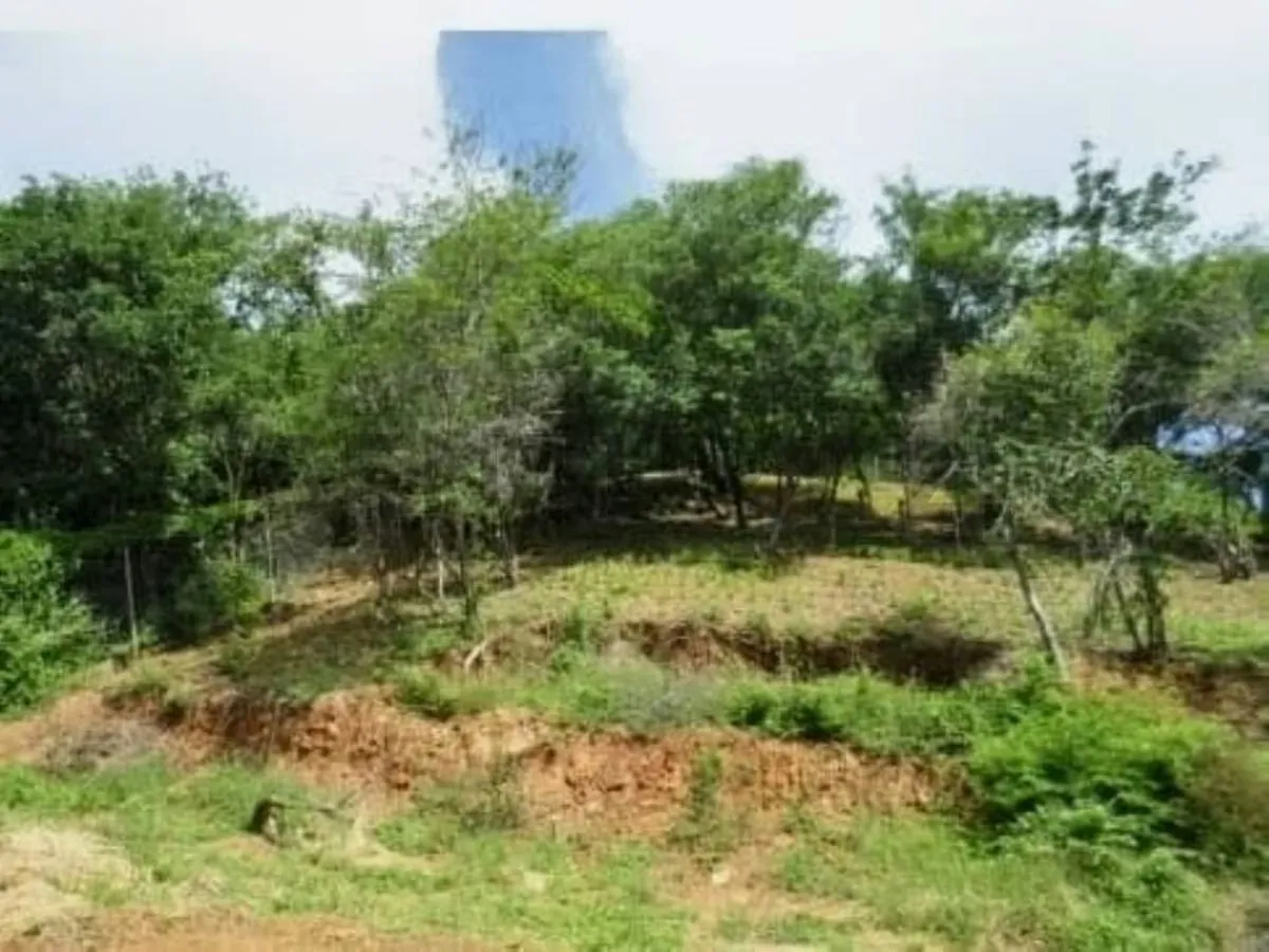 Terreno con bienhechuria en salamanca, la asunción - 5