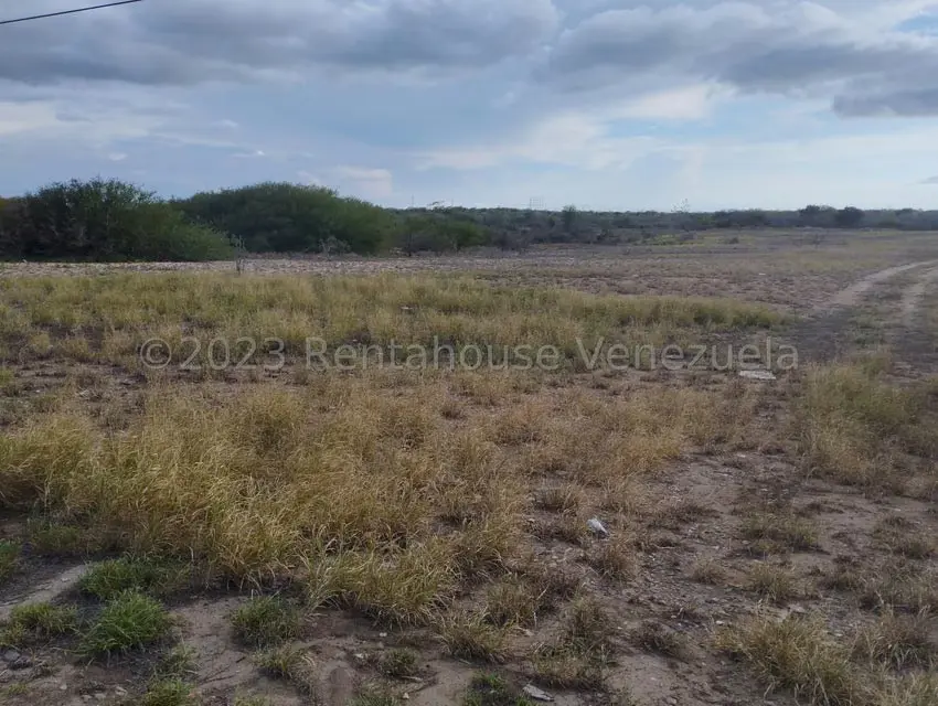 Terreno (Comercial) en Venta en Avenida Juan Bautista Arismendi, Nueva Esparta - 2