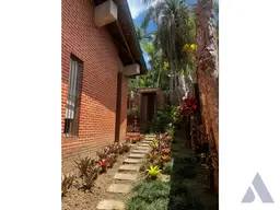 Vista 31