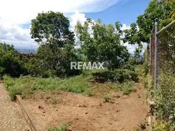 Vista 1