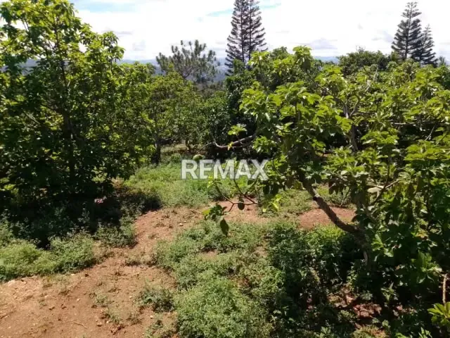 Terreno en Venta Lomas de Tabure - Cabudare - 2